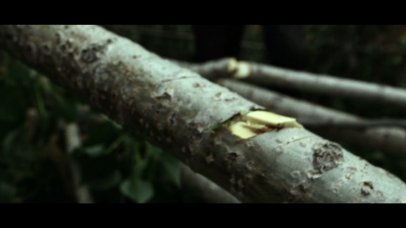 第一书记-人物形象纪录