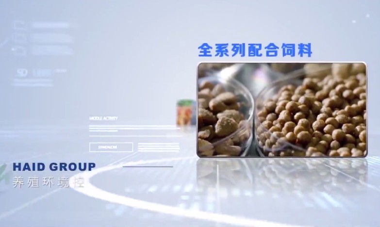 海大集团山东海合农牧农业饲料宣传片