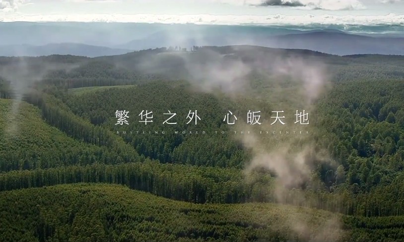 兔宝宝板材家具广告片《品牌调性》